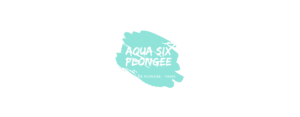 Logo Aqua SIX Plongée - Centre de plongée à Paris